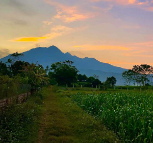 Homestay Ba Vì